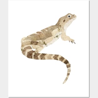 bearded dragon Posters and Art